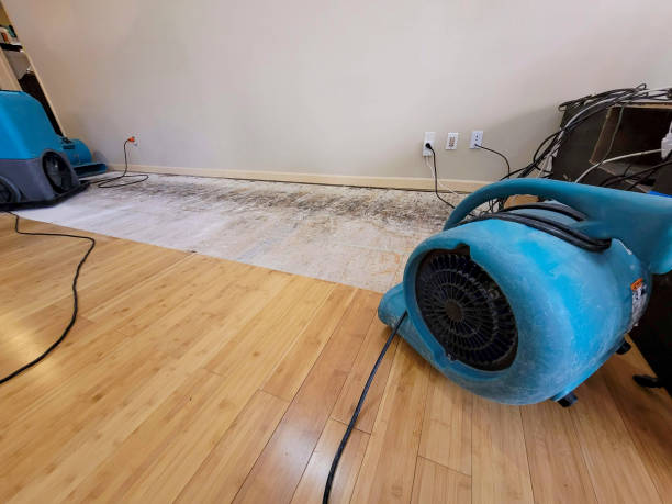 Professional Structural Drying technician working in Marshall, MI
